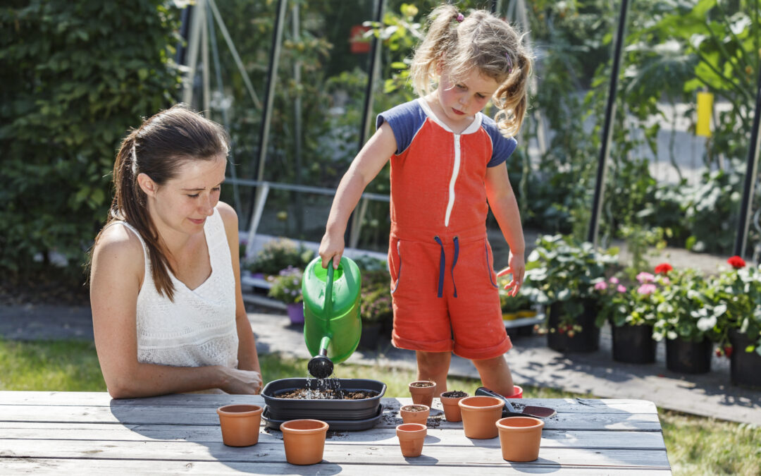 Grundläggande tips för odling i växthus